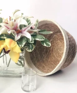 Korissa Savar Plant Bowl Set Home Goods 14 Korissa Savar Plant Bowl Set Home Goods