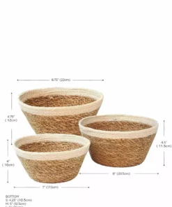 Korissa Savar Plant Bowl Set Home Goods 15 Korissa Savar Plant Bowl Set Home Goods