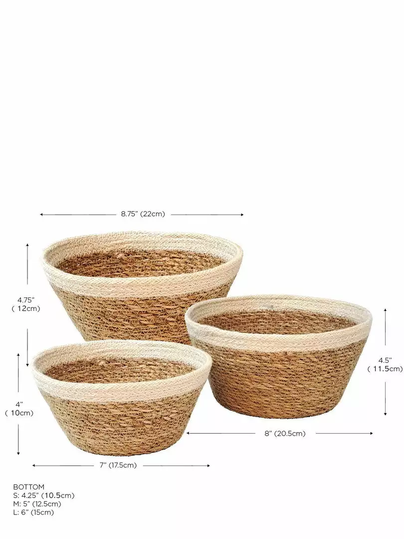Korissa Savar Plant Bowl Set Home Goods 8 Korissa Savar Plant Bowl Set Home Goods