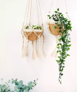 Korissa Savar Plant Bowl Set Home Goods 12 Korissa Savar Plant Bowl Set Home Goods