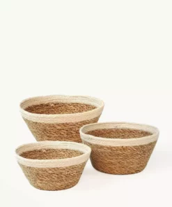 Korissa Savar Plant Bowl Set Home Goods 10 Korissa Savar Plant Bowl Set Home Goods