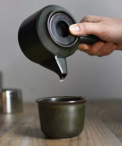 KINTO Best Sellers Leaves To Tea Porcelain Kyusu Teapot - Black