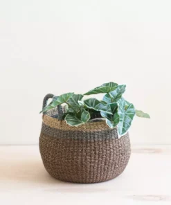 LIKHÂ Brown Tabletop Bulge Basket With Handles Home Goods