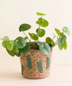 LIKHÂ Home Goods Cactus Embroidery Basket