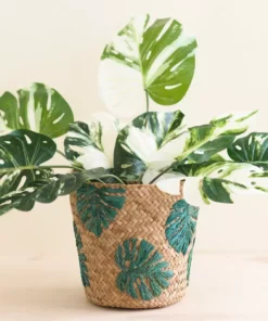 LIKHÂ Monstera Soft Planter Basket Home Goods