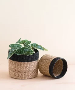 LIKHÂ Tabletop Catch All Bin Set