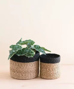 LIKHÂ Tabletop Catch All Bin Set