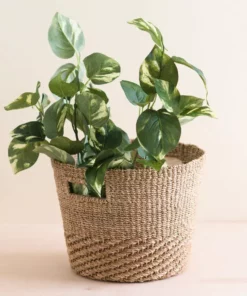 LIKHÂ Home Goods Tan + Natural Tapered Basket