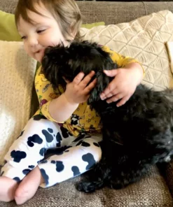 Lucky Bug Clothing Kids' + Baby Baby's Essential Bamboo Stretch Cow Play Pants