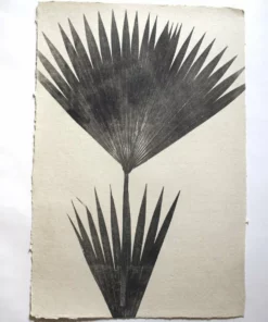 Magda Made Palm Print Home Goods