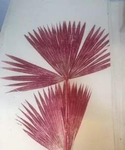 Magda Made Palm Print Home Goods