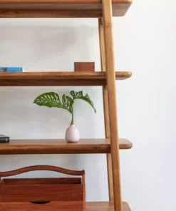 Masaya & Co. Apanas Bookshelf Furniture