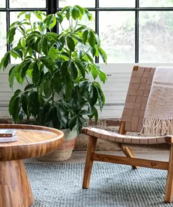 Masaya & Co. Batea Coffee Table 12 Masaya & Co. Batea Coffee Table