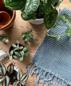 Amante Marketplace Meraki Turkish Hand Towel