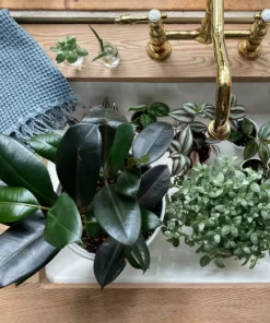 Amante Marketplace Meraki Turkish Hand Towel