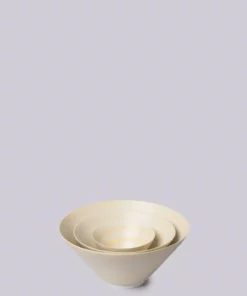 Middle Kingdom Conical Porcelain Bowl - Mango Kitchen + Dining
