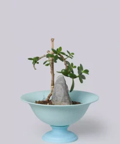 Middle Kingdom Planters + Vases Footed Porcelain Vase - Denim