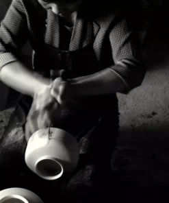 Middle Kingdom Memphis Persimmon Porcelain Vase Home Goods