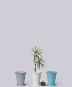 Middle Kingdom Minimus Conical Porcelain Pot