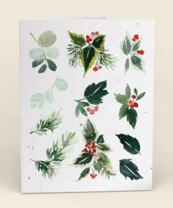 Cute Root Mistletoe Plantable Cards - 10 Pack