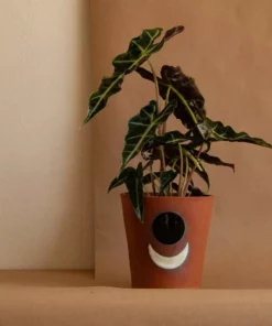 Anne Gates Studio Moon Ceramic Planter 5 Anne Gates Studio Moon Ceramic Planter