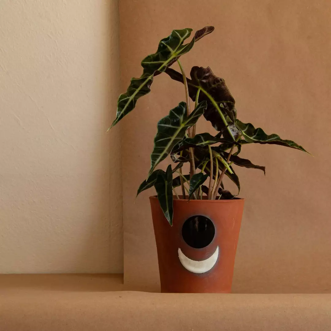 Anne Gates Studio Moon Ceramic Planter 3 Anne Gates Studio Moon Ceramic Planter