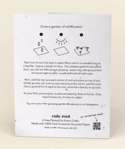 Cute Root My Favorite Plant Lady Plantable Cards - 10 Pack Greeting Cards