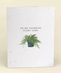 Cute Root My Favorite Plant Lady Plantable Cards - 10 Pack Greeting Cards