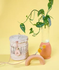 Caminito Palma Canasta Lantern Bag Accessories