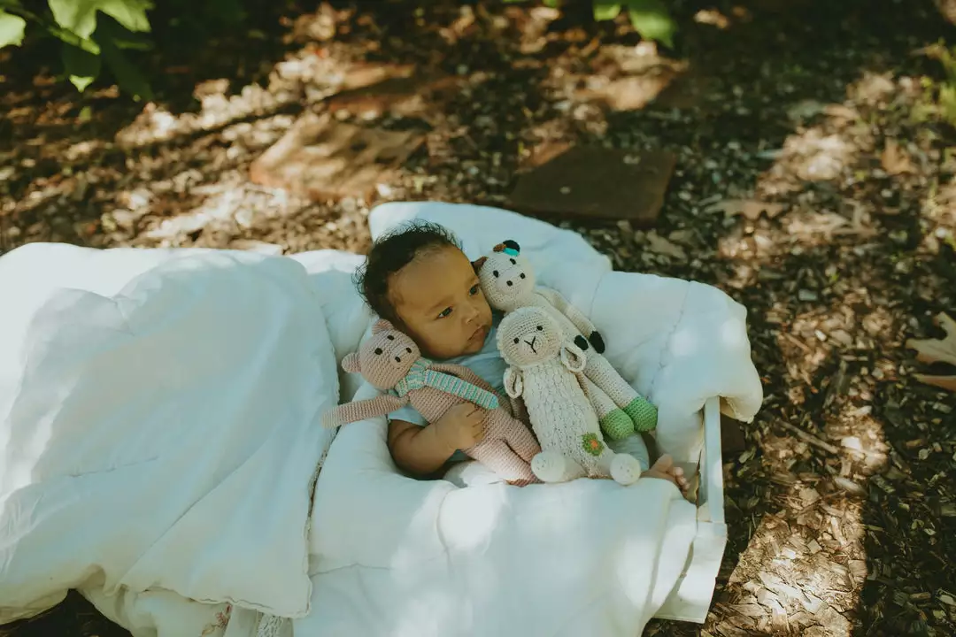 Pebble Gifts Pig Rattle 3 Pebble Gifts Pig Rattle