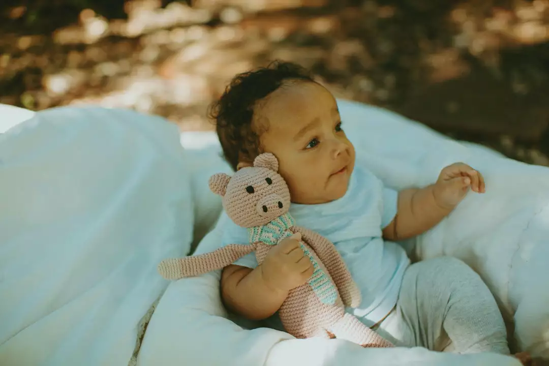 Pebble Gifts Pig Rattle 2 Pebble Gifts Pig Rattle