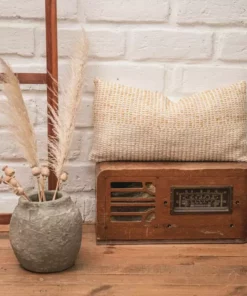 Zuahaza Pitaya Lumbar Pillow Cover