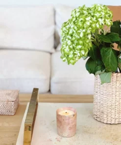 Rose & Fitzgerald Best Sellers Soapstone Candle - Guava + Mediterranean Fig