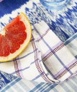 Archive New York San Lucas Plaid Cocktail Napkin Set