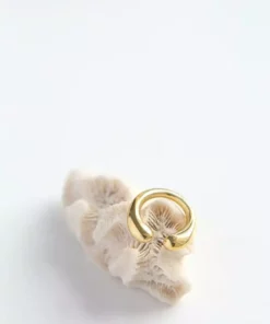 Abby Alley Best Sellers Sarah Ring