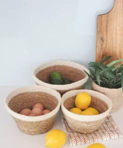Korissa Savar Plant Bowl Set Home Goods