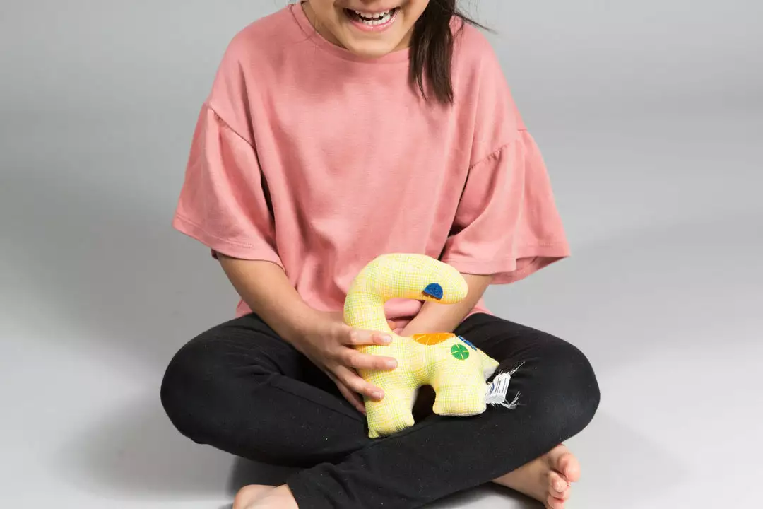 Zeki Learning BIPOC Owned Small Plaid Dinosaur Toy 2 Zeki Learning BIPOC Owned Small Plaid Dinosaur Toy