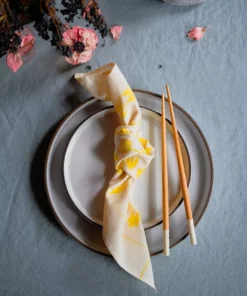 Soil To Studio Anika Ikat Napkin Set Kitchen + Dining