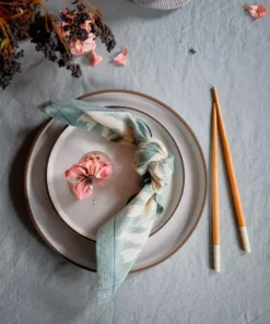 Soil To Studio Pari Ikat Napkin Set