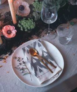 Soil To Studio Ruhi Ikat Napkin Set