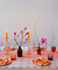 Soil To Studio Home Goods Tulsi Ikat Throw Blanket