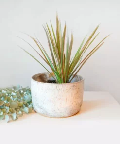 Moonshine Design Speckled Stoneware Planter