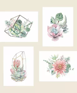 Cute Root Succulent Arrangements Plantable Cards - 8 Pack Greeting Cards