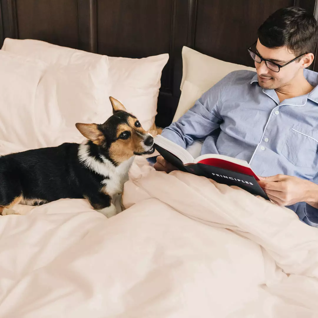 Eucalypso Best Sellers Tencel Eucalyptus Duvet Cover 4 Eucalypso Best Sellers Tencel Eucalyptus Duvet Cover