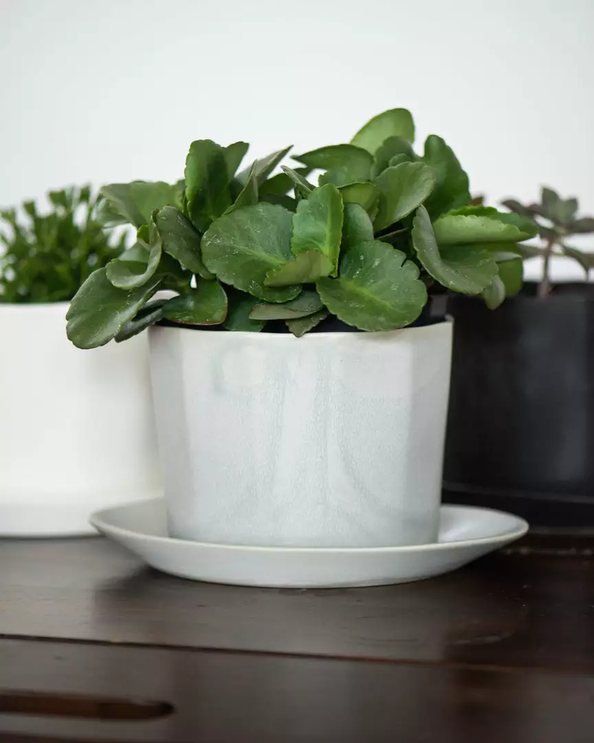 The Bright Angle Home Goods Native Porcelain Planter - Mica Black 2 The Bright Angle Home Goods Native Porcelain Planter - Mica Black