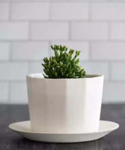The Bright Angle Home Goods Native Porcelain Planter - Mica Black 7 The Bright Angle Home Goods Native Porcelain Planter - Mica Black