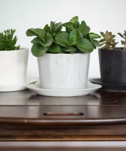 The Bright Angle Home Goods Native Porcelain Planter - Mica Black 8 The Bright Angle Home Goods Native Porcelain Planter - Mica Black