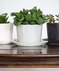 The Bright Angle Home Goods Native Porcelain Planter - Mica Black 9 The Bright Angle Home Goods Native Porcelain Planter - Mica Black