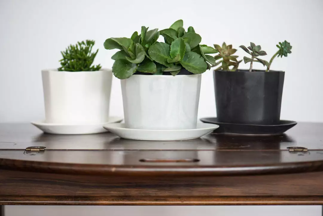 The Bright Angle Home Goods Native Porcelain Planter - Mica Black 5 The Bright Angle Home Goods Native Porcelain Planter - Mica Black