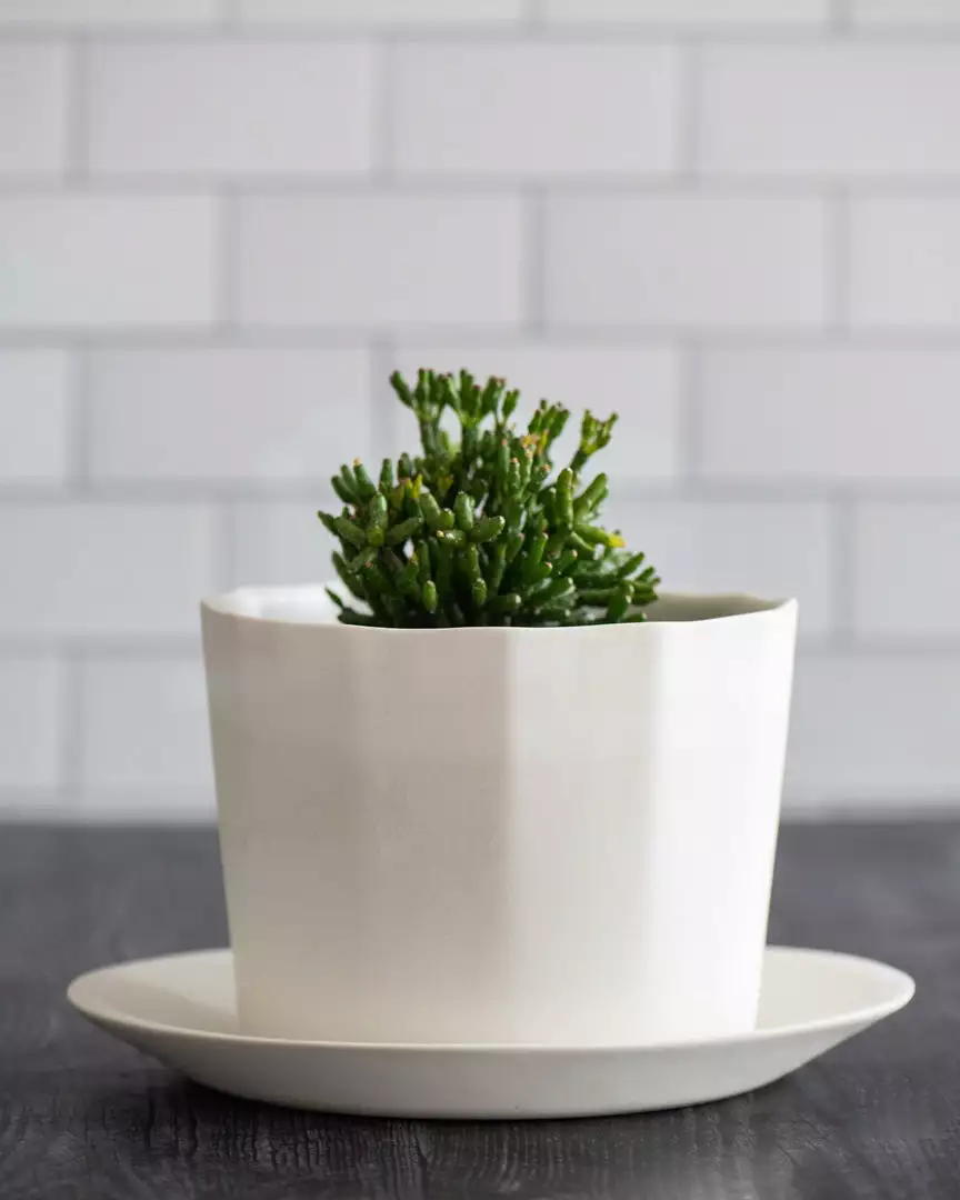 The Bright Angle Home Goods Native Porcelain Planter - Rosemary Green 2 The Bright Angle Home Goods Native Porcelain Planter - Rosemary Green